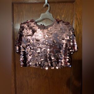 A New Day Shimmering Sequin Crop Top - Pink